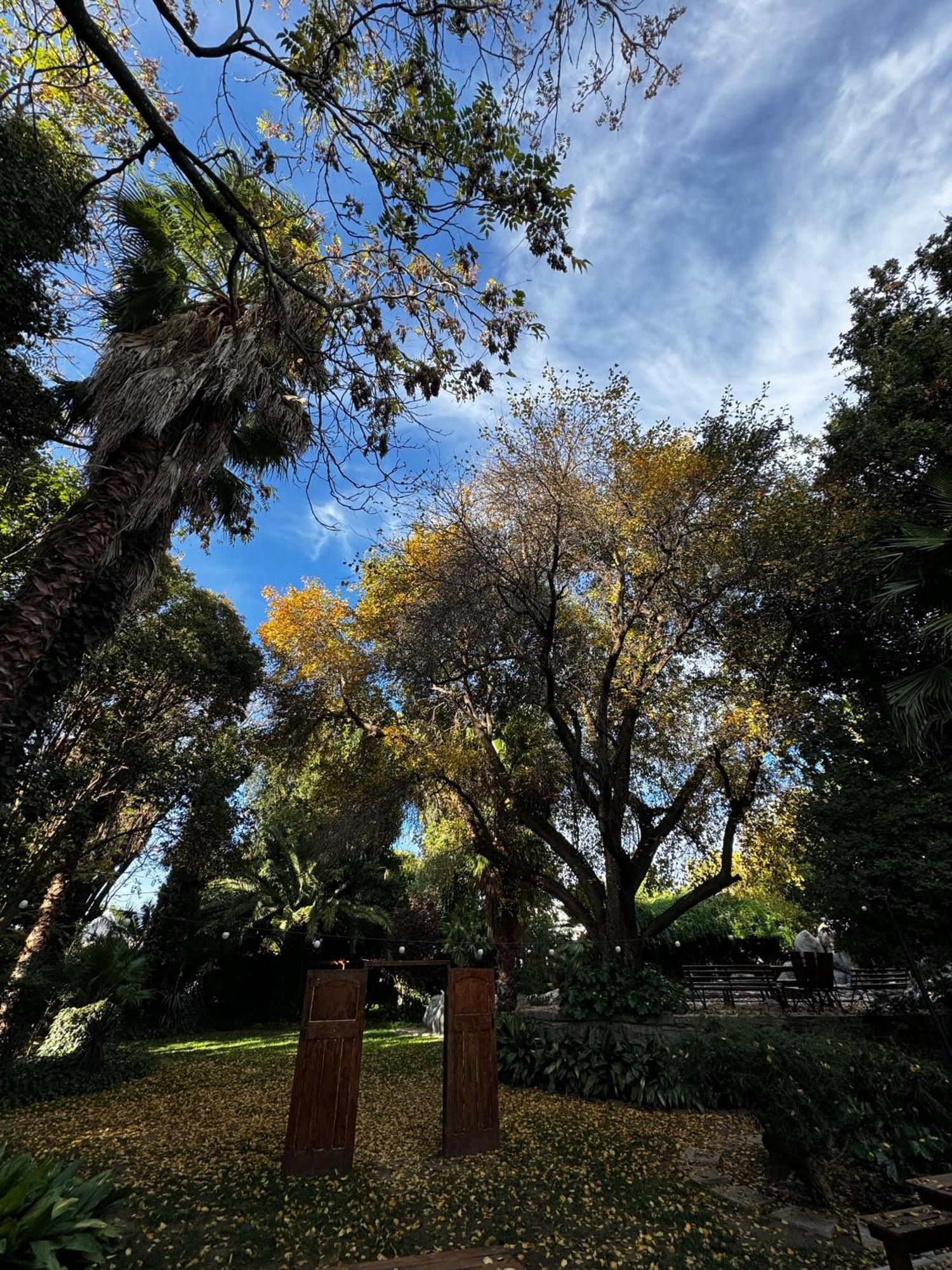 The Palms Venue & Accommodation Cradock Luaran gambar